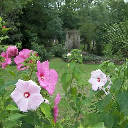 度假居 Le Moulin Du Pont Charraud *